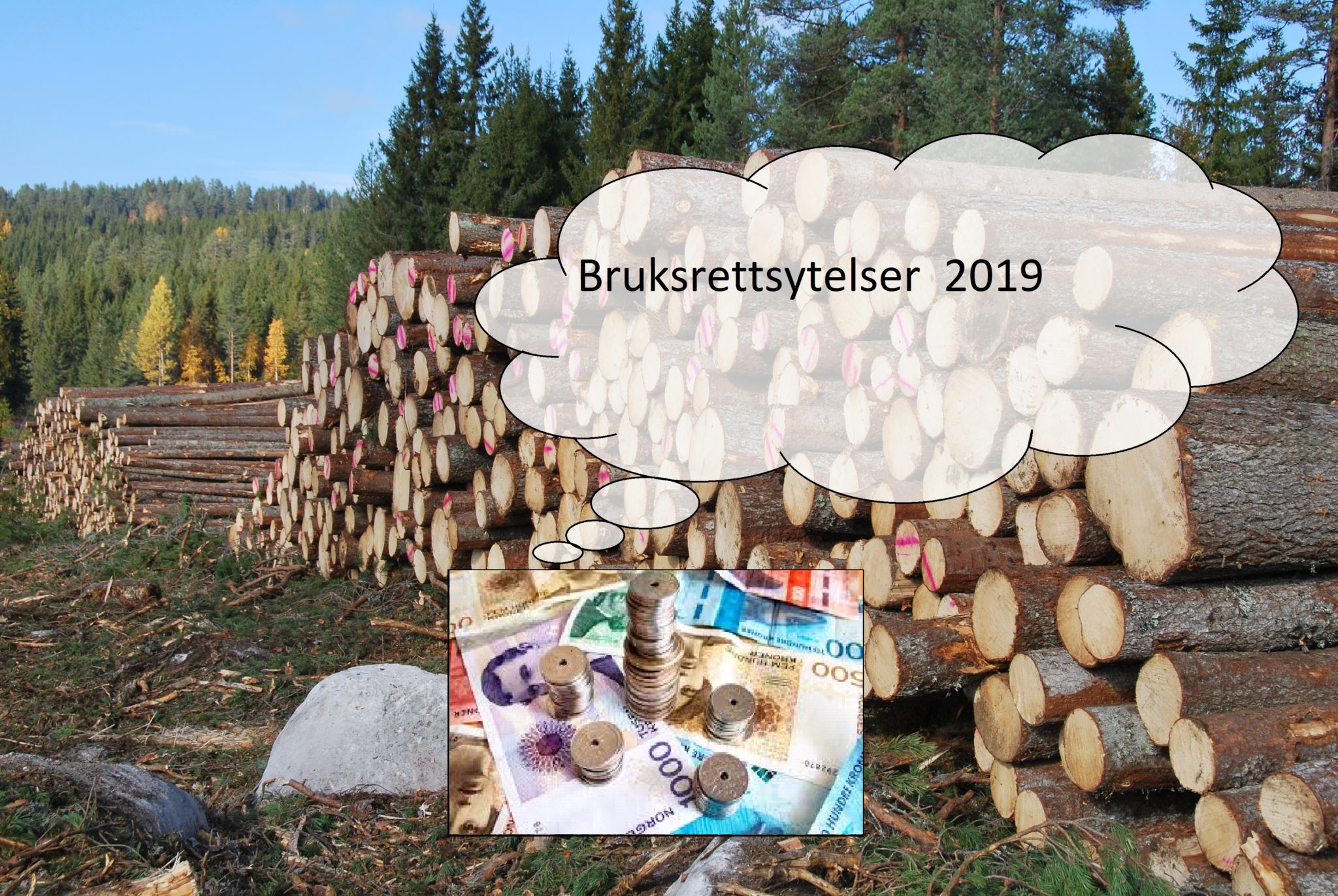 Bruksrettsytelser 2019