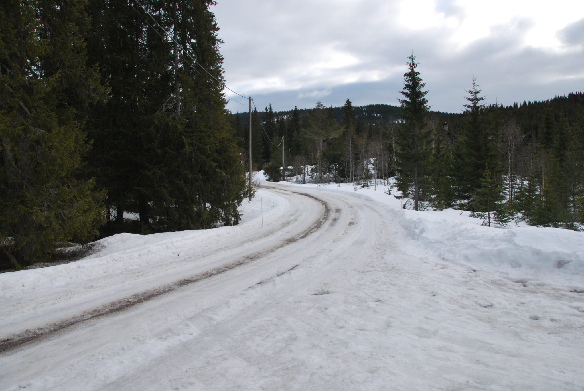 Brøyting av skogsbilvegene på Gran Almenning vinteren 2021