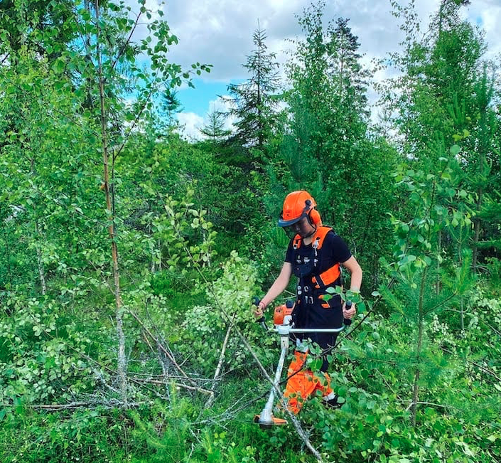 Vil du ha sommerjobb ute i naturen?