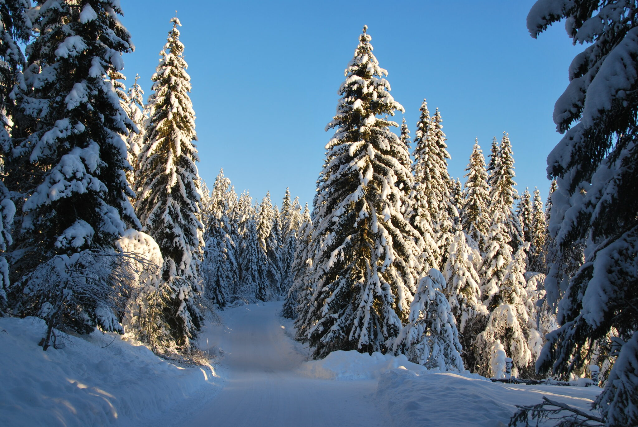 Brøyting vinter 2022