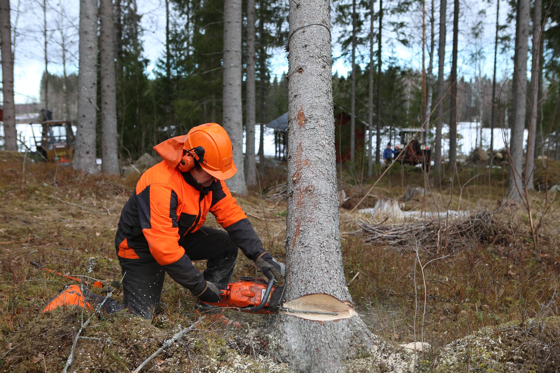 Skogsarbeider med fagbrev ønskes for arbeid i Gran Almenning