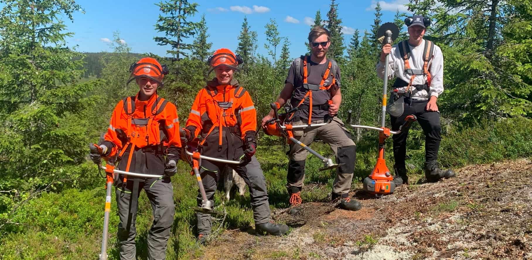 Sommerjobb i skogen?